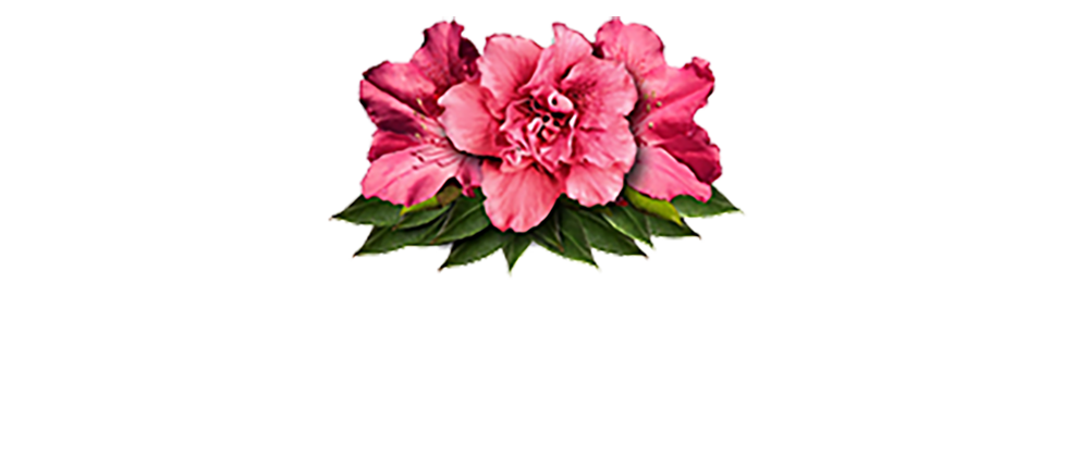 Azalea Capital